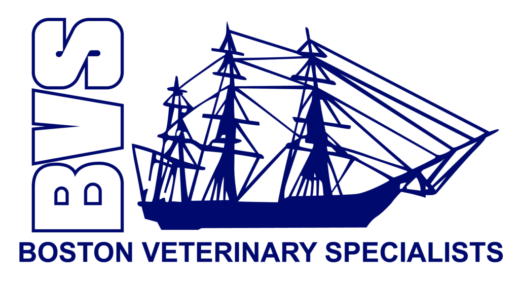 Boston Veterinary Specialists Gallery Vet Clinic In Dedham, MA 02026