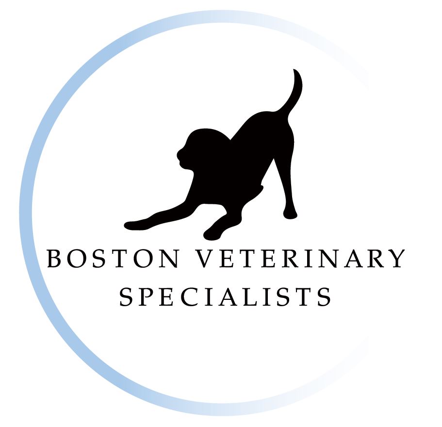 Boston Veterinary Specialists